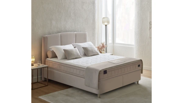 Dual Dream Plus 3'Lü Set